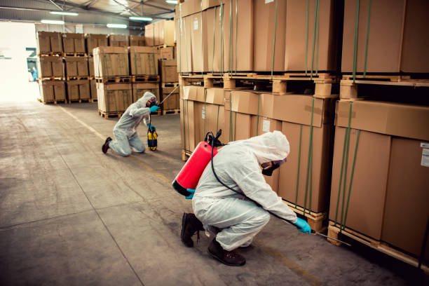 Best Best Pest Control Companies  in Eastpoint, FL
