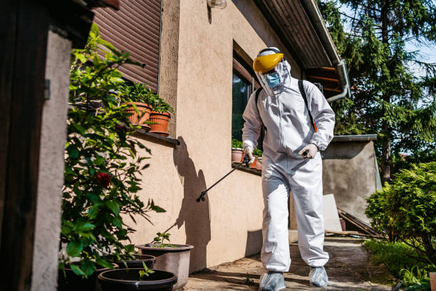 Best Wasp Removal Services  in Eastpoint, FL