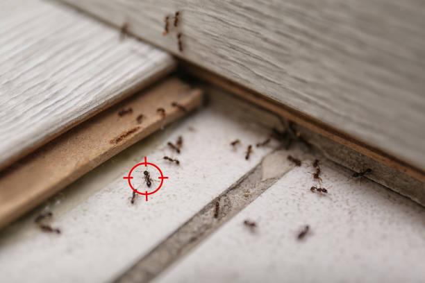 Eastpoint, FL Pest Control Company
