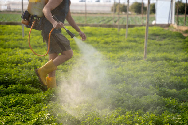 Best Pest Removal Services  in Eastpoint, FL