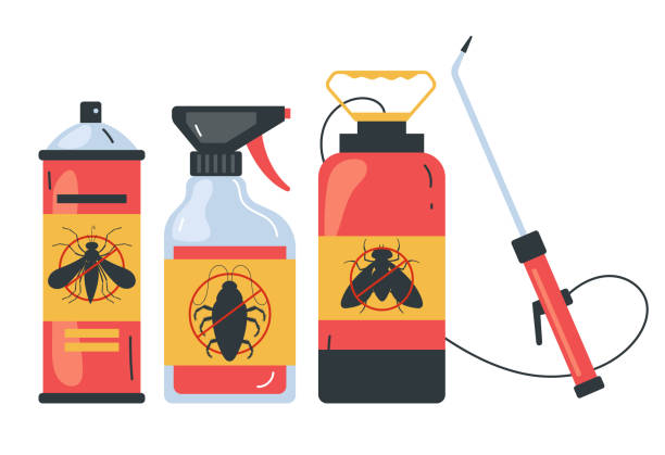 Best Local Pest Control Services  in Eastpoint, FL