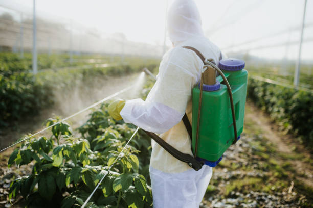 Best Pest Inspection Near Me  in Eastpoint, FL